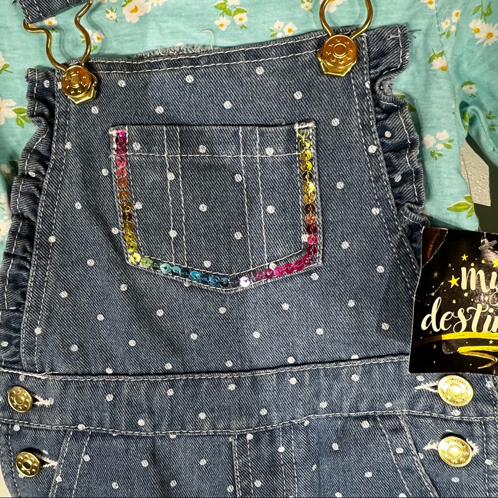 My Destiny 18 month girls 2 piece outfit